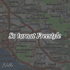 SO TURNAT FREESTYLE(Prod. incubo) 