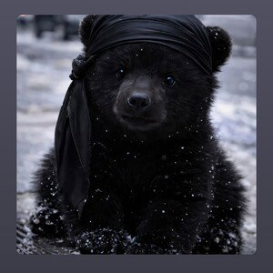 Black Polar 