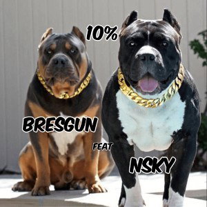 10%  