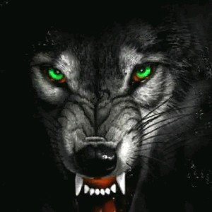 scary wolf freestyle