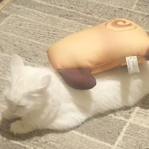 Песня про Шино из НАРУТО