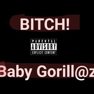 bitch [Explicit]