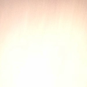 Blank