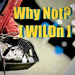 Wilden
