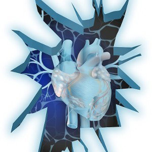 corazon bajo cero