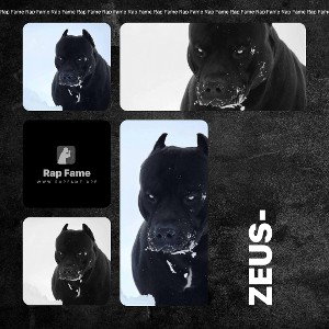 Zeus-⚡️