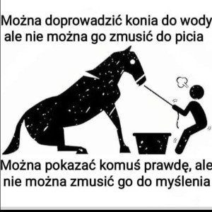 free style. rap zajawka