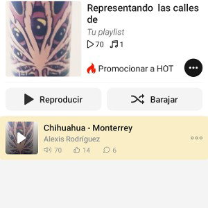 representando las calles  monterrey i chihuahua  