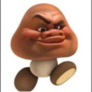 skibidi rizz