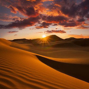 In the Desert 