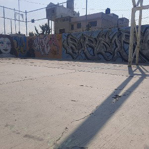 Gallo