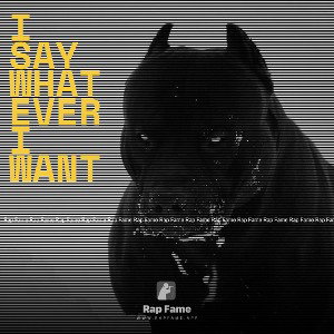 I say whatever I want
