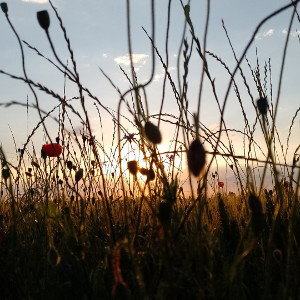 to jest moja bajka