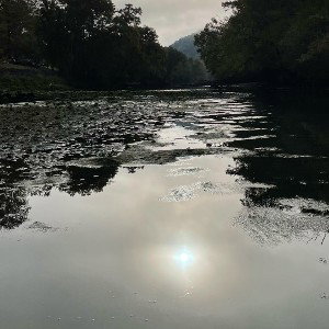 Ditch