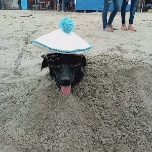 cuando te veo caminar 