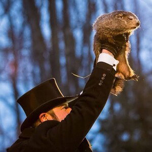 Times moving UP(Punxsutawney Phil)