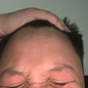 The 