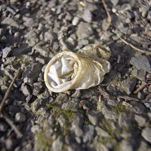 Condom on the street pt 2