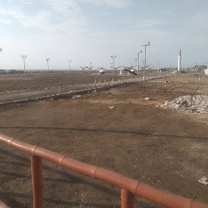 Lonely