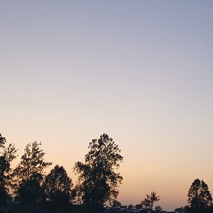 the end of the wrld 