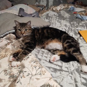 Gravity