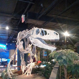 DINOSAUR