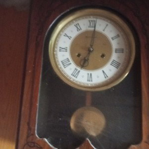 2023г. август нашествие фурри