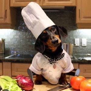 I am the chef