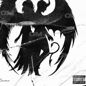 I'm crazy.  demons in my head 