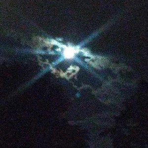 Moonlight Walk