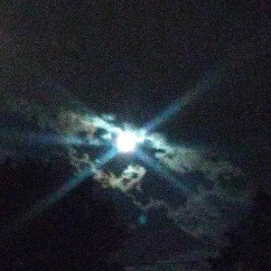 Moonlight Walk
