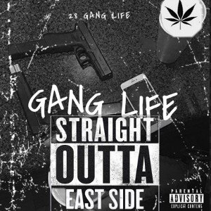 The Fucking Comeback (Gang Life Part 2 The Comeback(