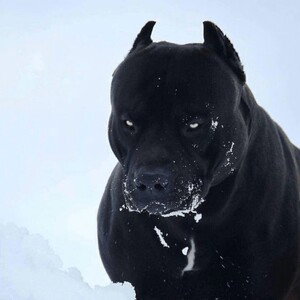 I’m winning 🏆 