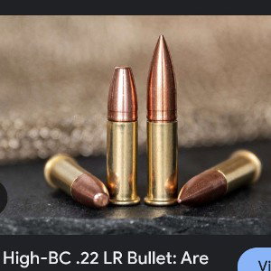 Two 22 Cal. bullets (Hall way)