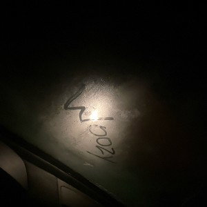 YBP Woozy- like ah laker