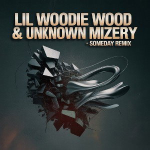 Lil Woodie Wood & Unknown Mizery - Someday Remix