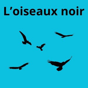 L’oiseaux noir