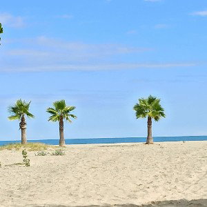 Paradies 