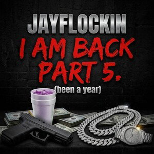 I AM BACK PART 5(been a year)