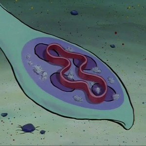 LEACHES IN DISGUISE 