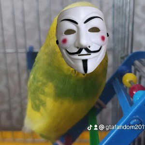 АНОНИМУС