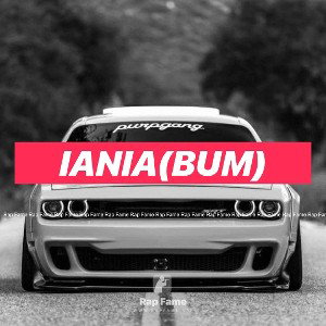 IANIA(BUM)