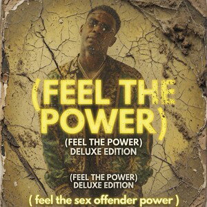 FEEL THE POWER FEEL THE SEXOFFENDER POWER (feat Austin Kincaid)