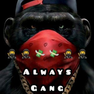 Gang