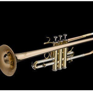 trumpet(thumb on pulse)