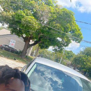 Gutter (11:54:31)