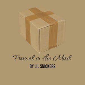 Parcel in the Mail