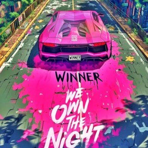 winner we own the night