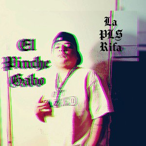 "Estilo free" El Pinche Gabo (LaPlsRifa)