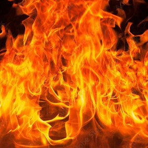 The fire 